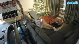 @voyeurcam-julmodels-living-4 Snapshot • 2026-01-16 00:43