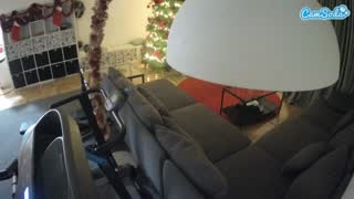 @voyeurcam-julmodels-living-4 Snapshot • 2026-01-19 22:44