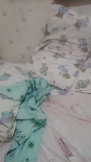 @WildLady Snapshot • 2026-01-20 23:01