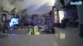 @voyeurcam-bridgetleewalters-02 Snapshot • 2026-01-20 00:46