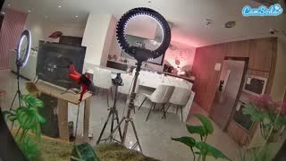 @voyeurcam-casa-salsa-fishtank Snapshot • 2026-01-20 00:09