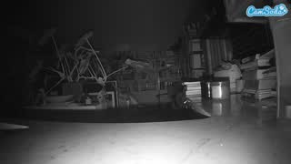 @voyeurcam-bridgetleewalters-02 Snapshot • 2026-01-23 05:25