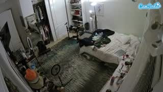 @voyeurcam-hornyhostel-02 Snapshot • 2026-01-23 04:04