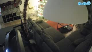 @voyeurcam-julmodels-living-4 Snapshot • 2026-01-23 02:35