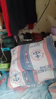 @WildLady Snapshot • 2026-01-25 00:43