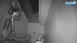 @voyeurcam-baileybase-shower Snapshot • 2026-01-26 05:22