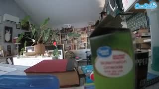 @voyeurcam-bridgetleewalters-02 Snapshot • 2026-01-26 22:26