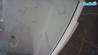 @voyeurcam-casa-salsa-bathroom-11 Snapshot • 2026-01-26 05:19