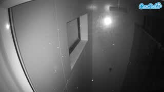 @voyeurcam-casa-salsa-bathroom-13 Snapshot • 2026-01-26 05:17