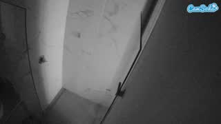 @voyeurcam-casa-salsa-bathroom-7 Snapshot • 2026-01-26 22:13