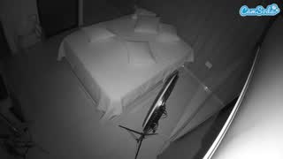 @voyeurcam-casa-salsa-bedroom-7 Snapshot • 2026-01-26 04:49