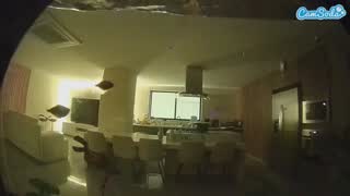 @voyeurcam-casa-salsa-fishtank Snapshot • 2026-01-26 04:43