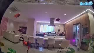 @voyeurcam-casa-salsa-fishtank Snapshot • 2026-01-26 21:50