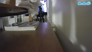 @voyeurcam-celticiron-01 Snapshot • 2026-01-26 04:01