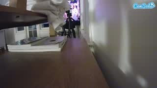 @voyeurcam-celticiron-01 Snapshot • 2026-01-26 04:29