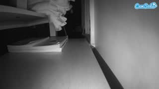 @voyeurcam-celticiron-01 Snapshot • 2026-01-26 06:32