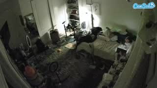 @voyeurcam-hornyhostel-02 Snapshot • 2026-01-26 04:19