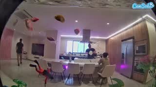 @voyeurcam-casa-salsa-fishtank Snapshot • 2026-01-29 13:47