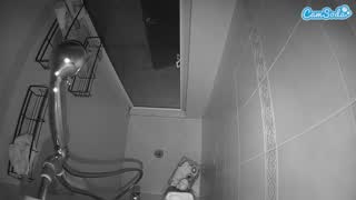 @voyeurcam-baileybase-shower Snapshot • 2026-01-30 09:00