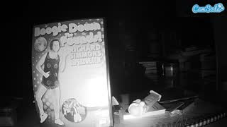 @voyeurcam-bridgetleewalters-02 Snapshot • 2026-01-30 08:58