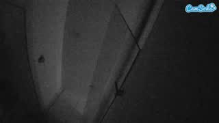 @voyeurcam-casa-salsa-bathroom-7 Snapshot • 2026-01-30 08:43