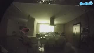 @voyeurcam-casa-salsa-fishtank Snapshot • 2026-01-30 08:11