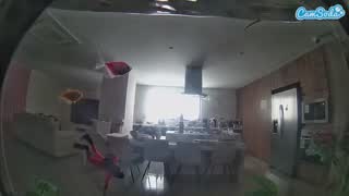 @voyeurcam-casa-salsa-fishtank Snapshot • 2026-02-01 15:38