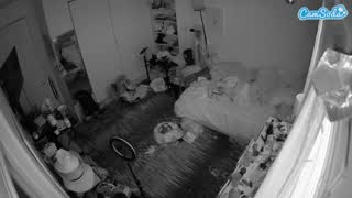 @voyeurcam-hornyhostel-02 Snapshot • 2026-02-02 12:03