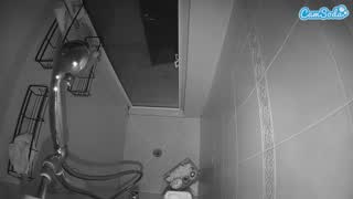 @voyeurcam-baileybase-shower Snapshot • 2026-02-05 23:23