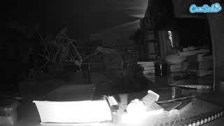 @voyeurcam-bridgetleewalters-02 Snapshot • 2026-02-05 23:22