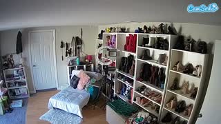 @voyeurcam-missoliviablack-03 Snapshot • 2026-02-05 21:41