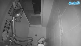 @voyeurcam-baileybase-shower Snapshot • 2026-02-09 01:25