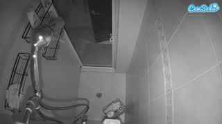 @voyeurcam-baileybase-shower Snapshot • 2026-02-09 06:29