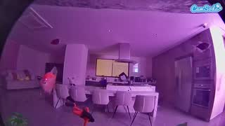 @voyeurcam-casa-salsa-fishtank Snapshot • 2026-02-09 05:47