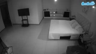 @voyeurcam-jb-office-1 Snapshot • 2026-02-09 05:14