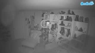 @voyeurcam-missoliviablack-03 Snapshot • 2026-02-09 04:48