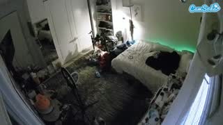 @voyeurcam-hornyhostel-02 Snapshot • 2026-02-10 11:48