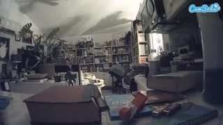 @voyeurcam-bridgetleewalters-02 Snapshot • 2026-02-11 11:34