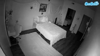 @voyeurcam-lolavalentine23 Instantaneu • 2026-02-11 13:47