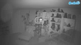 @voyeurcam-missoliviablack-03 Snapshot • 2026-02-11 13:34