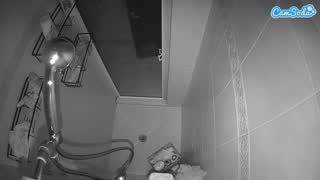 @voyeurcam-baileybase-shower Snapshot • 2026-02-12 12:23