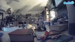 @voyeurcam-bridgetleewalters-02 Snapshot • 2026-02-12 12:21