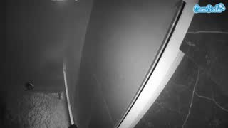 @voyeurcam-casa-salsa-bathroom-11 Snapshot • 2026-02-12 12:18