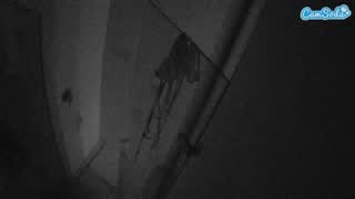 @voyeurcam-casa-salsa-bathroom-7 Snapshot • 2026-02-12 12:07