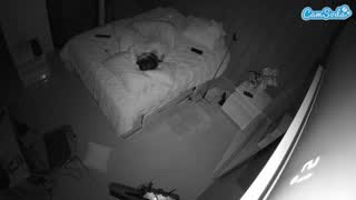 @voyeurcam-casa-salsa-bedroom-7 Snapshot • 2026-02-12 11:46