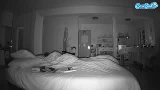 @voyeurcam-celticiron-01 Snapshot • 2026-02-12 11:25