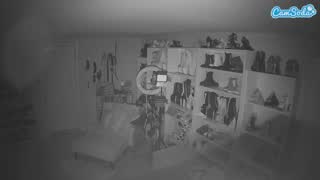 @voyeurcam-missoliviablack-03 Snapshot • 2026-02-12 10:41