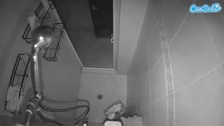 @voyeurcam-baileybase-shower Snapshot • 2026-02-15 15:41