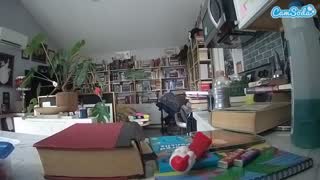 @voyeurcam-bridgetleewalters-02 Snapshot • 2026-02-15 15:40