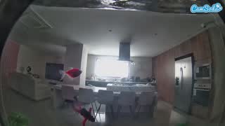 @voyeurcam-casa-salsa-fishtank Snapshot • 2026-02-15 14:56